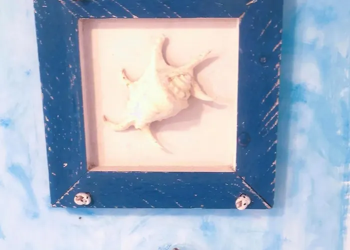 Alojamento de Acomodação e Pequeno-almoço Parnaso Torre Annunziata